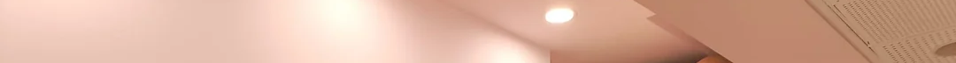 kissed elephant prolapse Blank Meme Template