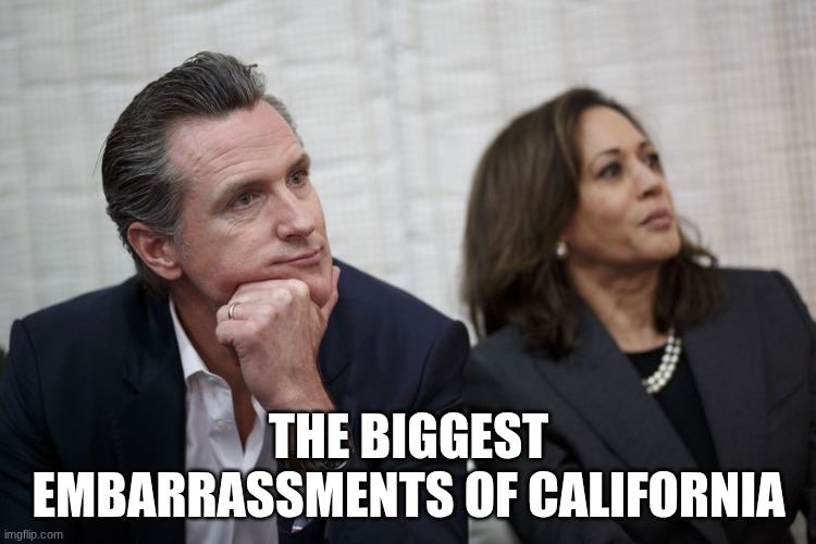 The DNC have chosen their main candidates for their votes | the biggest embarrassments of california | image tagged in harris newsom | made w/ Imgflip meme maker