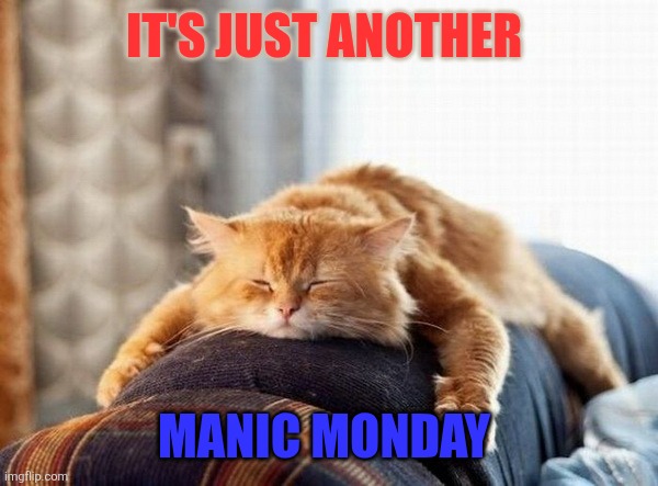 Manic Monday | It's just another; Manic Monday | image tagged in monday cat,funny memes | made w/ Imgflip meme maker