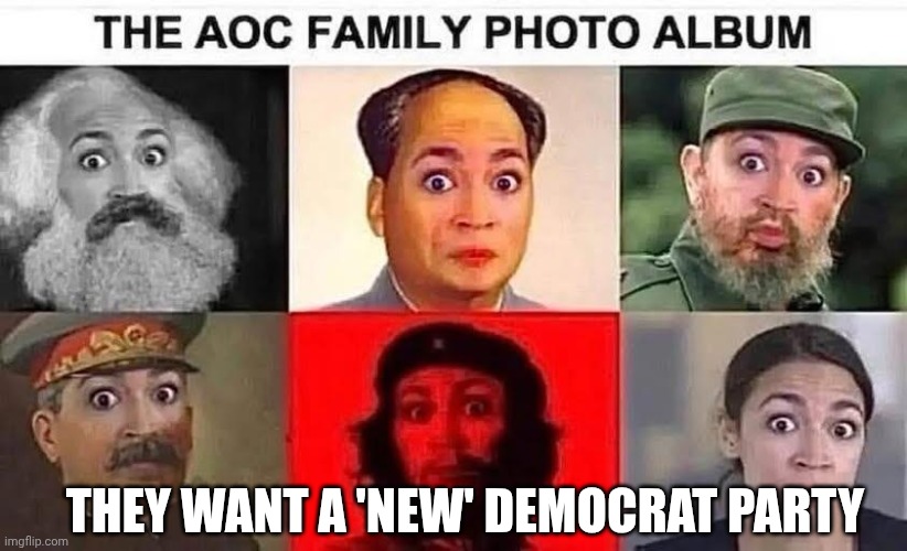 AOC | They want a 'new' Democrat party | image tagged in aoc | made w/ Imgflip meme maker