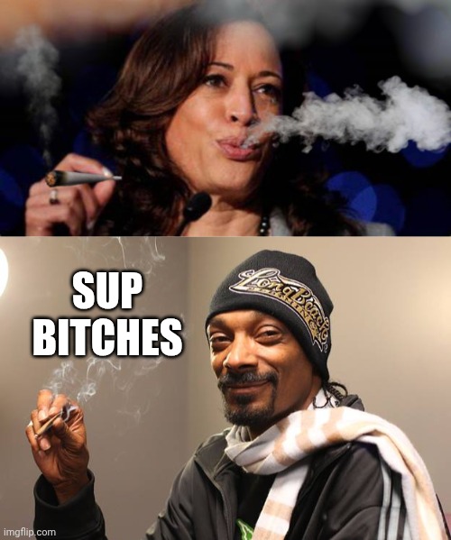 Sup
Bitches | image tagged in kamala harris stoned,snoop dogg | made w/ Imgflip meme maker