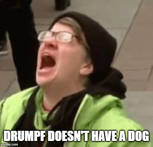 Drumpf doesn't have a dog | made w/ Imgflip meme maker