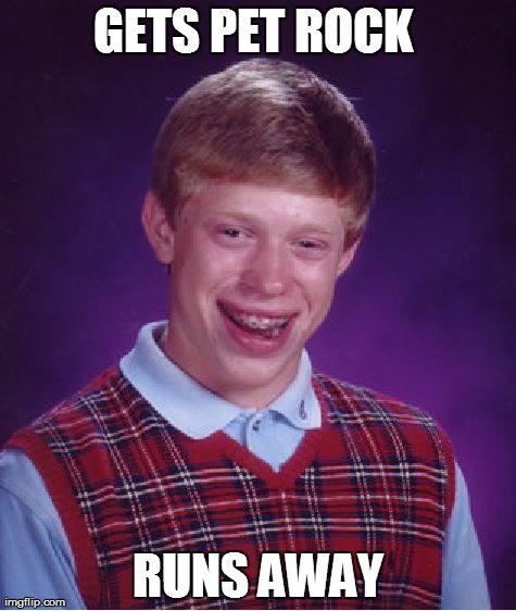 Bad Luck Brian | GETS PET ROCK  RUNS AWAY | image tagged in memes,bad luck brian | made w/ Imgflip meme maker