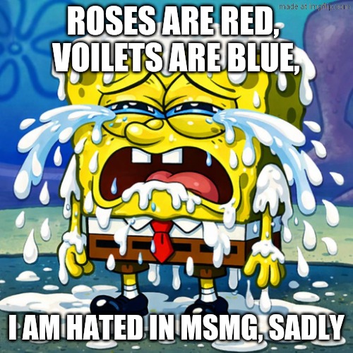 SpunchBop Cum | Roses are red, 
voilets are blue, I am hated in msmg, sadly | image tagged in spunchbop cum | made w/ Imgflip meme maker