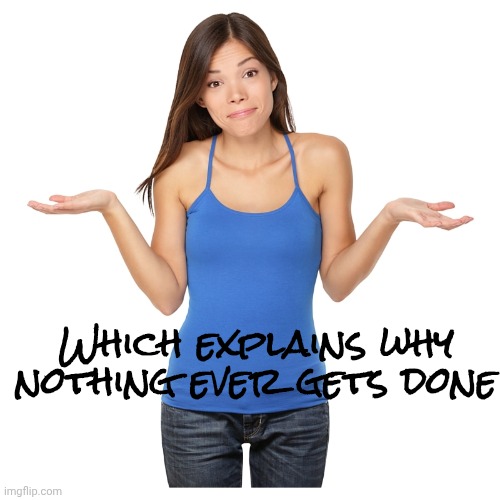 I don't know | Which explains why nothing ever gets done | image tagged in i don't know | made w/ Imgflip meme maker