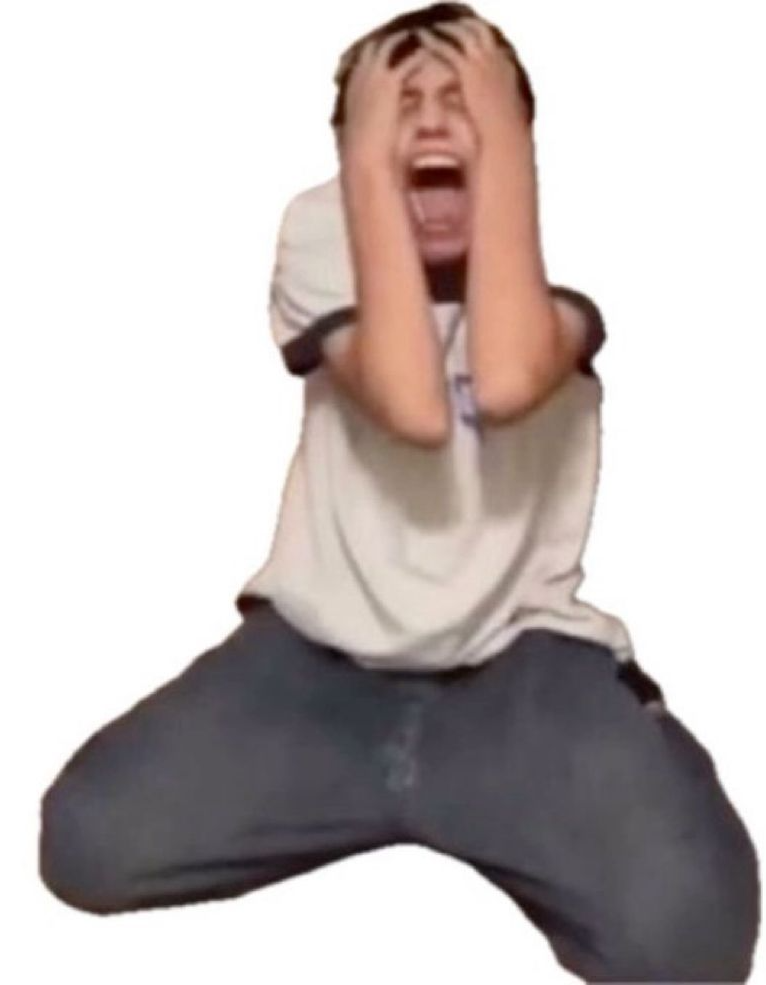 crashout Blank Meme Template
