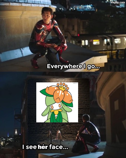 Quite literally those who see my reaction images. | her | image tagged in everywhere i go i see his face,pokemon,comments | made w/ Imgflip meme maker