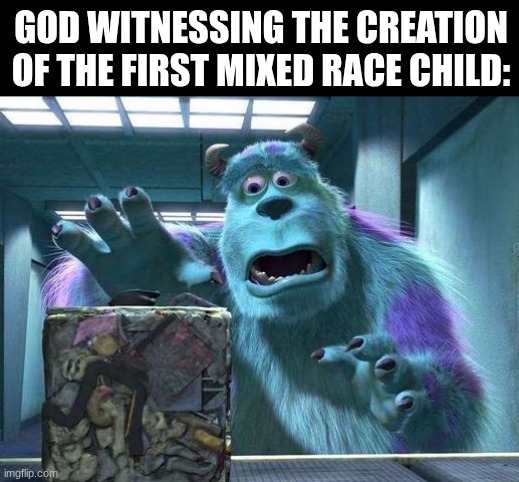 oopsie doodle | God witnessing the creation of the first mixed race child: | image tagged in sully trash cube,memes,funny,monsters inc,disney,dark humor | made w/ Imgflip meme maker