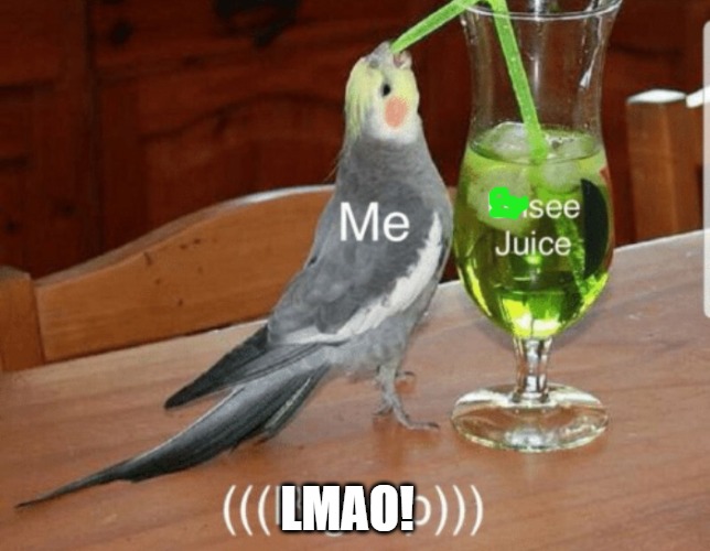 Unsee juice | LMAO! | image tagged in unsee juice | made w/ Imgflip meme maker