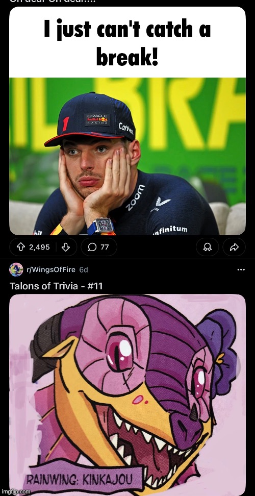 My reddit feed created a decent representation of some dragons reactions to a certain rainwing lol | made w/ Imgflip meme maker