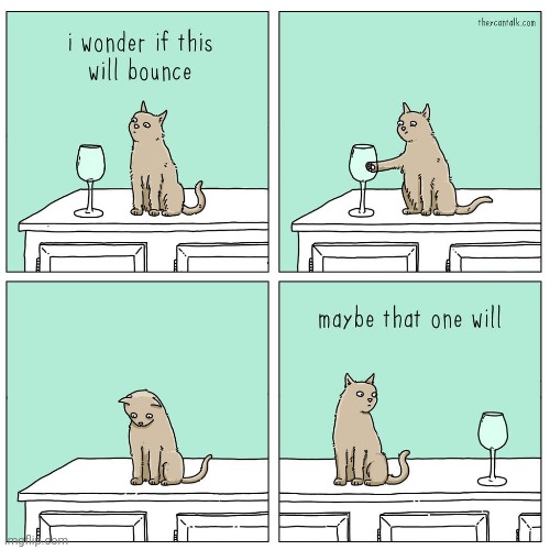 Not bouncing | image tagged in bounce,bouncing,cats,glass,cat,comics | made w/ Imgflip meme maker