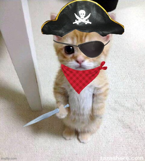 Cute Cat Meme | image tagged in memes,cute cat | made w/ Imgflip meme maker