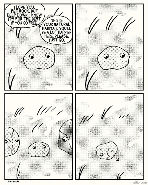 Pet rock | image tagged in pet,rock,rocks,pet rock,comics,habitat | made w/ Imgflip meme maker