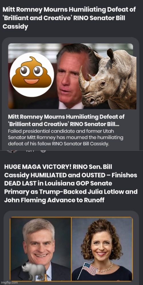 Cry bitch, cry! | image tagged in mitt romney,rhino,crying | made w/ Imgflip meme maker