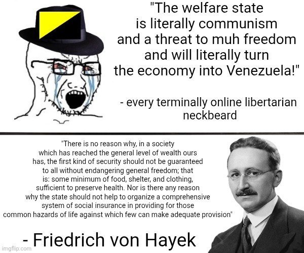 Libertarians don't even read the writings of their own ideologues and deem everything they don't agree with as communism | "The welfare state is literally communism and a threat to muh freedom and will literally turn the economy into Venezuela!"; - every terminally online libertarian 
neckbeard; "There is no reason why, in a society which has reached the general level of wealth ours has, the first kind of security should not be guaranteed to all without endangering general freedom; that is: some minimum of food, shelter, and clothing, sufficient to preserve health. Nor is there any reason why the state should not help to organize a comprehensive system of social insurance in providing for those common hazards of life against which few can make adequate provision"; - Friedrich von Hayek | image tagged in libertarians,neckbeard libertarian,conservative logic,friedrich von hayek,austrian economics,libertarianism | made w/ Imgflip meme maker
