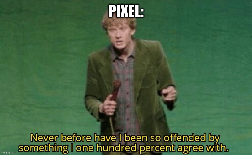 Never before have I been so offended by something I one hundred | Pixel: | image tagged in never before have i been so offended by something i one hundred | made w/ Imgflip meme maker
