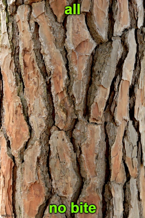 all bark no bite | all; no bite | image tagged in all bark no bite | made w/ Imgflip meme maker