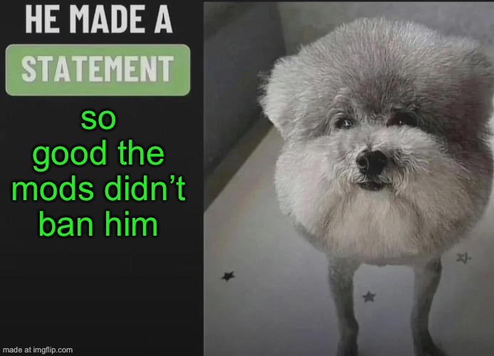 He made a statement blank | so good the mods didn’t ban him | image tagged in he made a statement blank | made w/ Imgflip meme maker