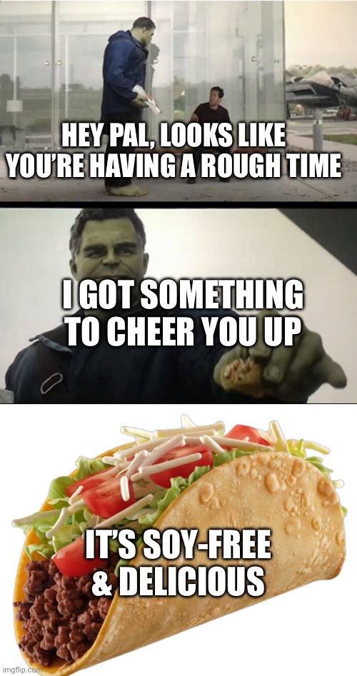 Something to cheer you up | Hey pal, looks like you’re having a rough time; I got something to cheer you up; It’s soy-free & delicious | image tagged in hulk gives antman taco,taco | made w/ Imgflip meme maker