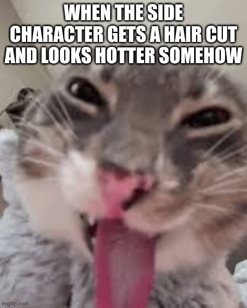 side character idk | when the side character gets a hair cut and looks hotter somehow | image tagged in download - 2026-05-18t170019 970 jpeg | made w/ Imgflip meme maker