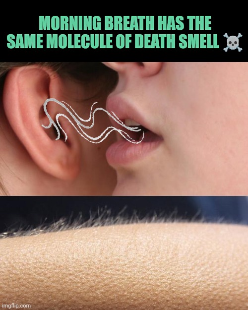 Creepy | Morning breath has the same molecule of death smell ☠️ | image tagged in whisper and goosebumps | made w/ Imgflip meme maker