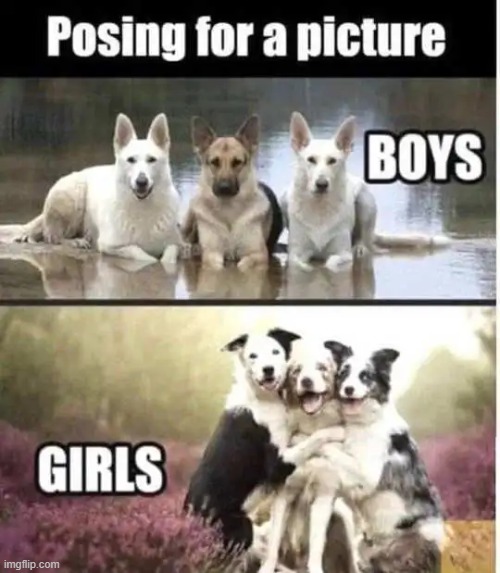 We Are Not The Same | image tagged in male,female,spot the difference,boys vs girls,difference between men and women,opposites attract | made w/ Imgflip meme maker