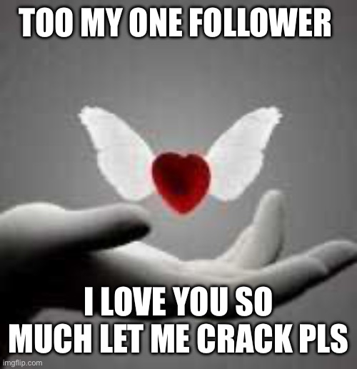 i love you | Too my one follower; I love you so much let me crack pls | image tagged in i love you | made w/ Imgflip meme maker