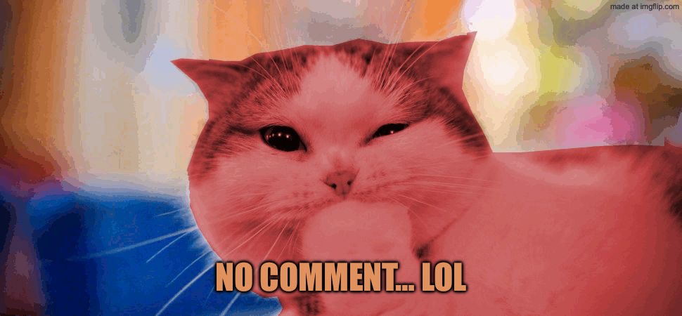 RayCat laughing | No comment… lol | image tagged in raycat laughing | made w/ Imgflip meme maker