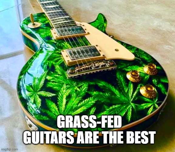 Grass-fed guitar | Grass-fed guitars are the best | image tagged in satire,classic rock | made w/ Imgflip meme maker