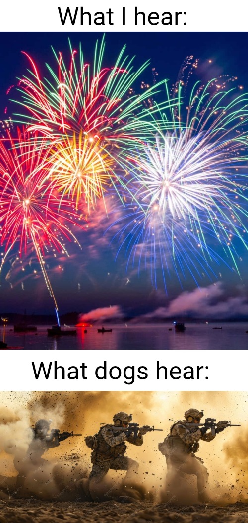 Those darn dogs | What I hear:; What dogs hear: | image tagged in dogs,fireworks,guns,warfare,battlefield,true | made w/ Imgflip meme maker