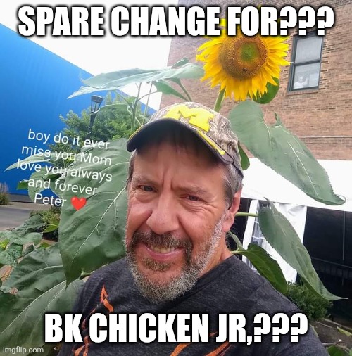 Spare Change For??? | Spare change for??? BK chicken jr,??? | image tagged in peter plant,burger king,chicken,junior,homeless,memes | made w/ Imgflip meme maker