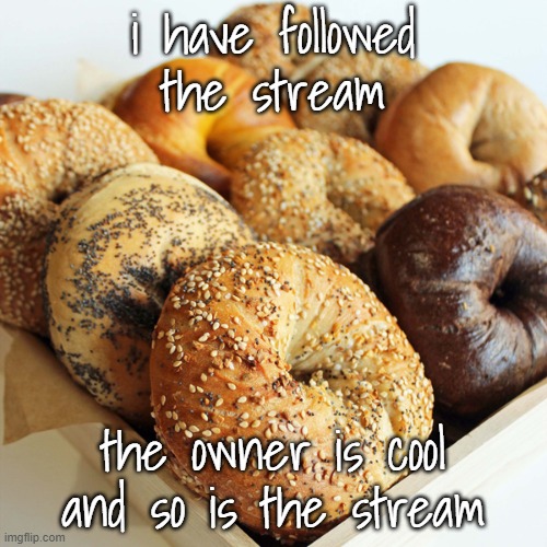 :] | i have followed the stream; the owner is cool and so is the stream | image tagged in the only bae goals i want is this bagel | made w/ Imgflip meme maker
