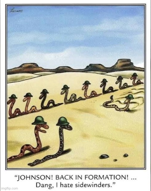 There’s one in every platoon… | image tagged in the far side,comics,army,snakes,sidewinder,formation | made w/ Imgflip meme maker