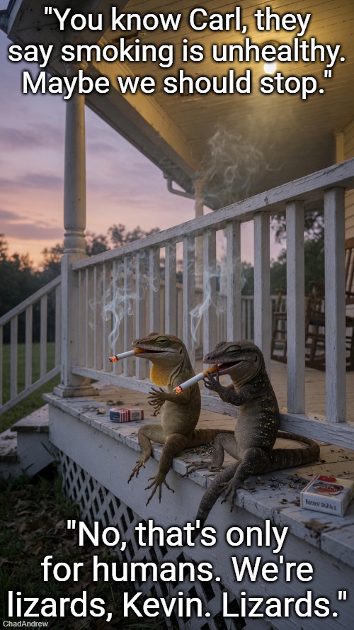 Lizards smoking on the porch. Keeps them warm? | "You know Carl, they say smoking is unhealthy. Maybe we should stop."; "No, that's only for humans. We're lizards, Kevin. Lizards." | image tagged in originalcontentonly,smoking lizards,lizards,smoking | made w/ Imgflip meme maker