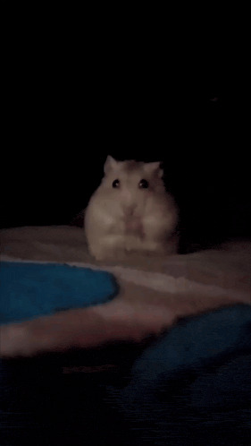 WhiskedAway Blank Meme Template
