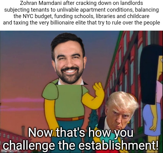 Forget Donald Trump, Zohran Mamdani is a real guy who's challenging the establishment | Zohran Mamdani after cracking down on landlords subjecting tenants to unlivable apartment conditions, balancing the NYC budget, funding schools, libraries and childcare and taxing the very billionaire elite that try to rule over the people; Now that's how you challenge the establishment! | image tagged in now s that how it s done,zohran mamdani,donald trump,new york city,populism | made w/ Imgflip meme maker