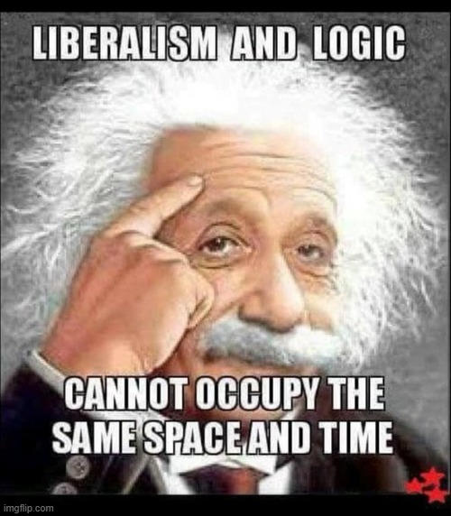 Truth | image tagged in democrats,einstein,liberal logic,illogical,liberalism | made w/ Imgflip meme maker