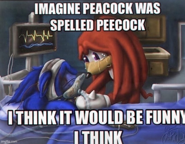 image tagged in img_9013 jpeg | made w/ Imgflip meme maker
