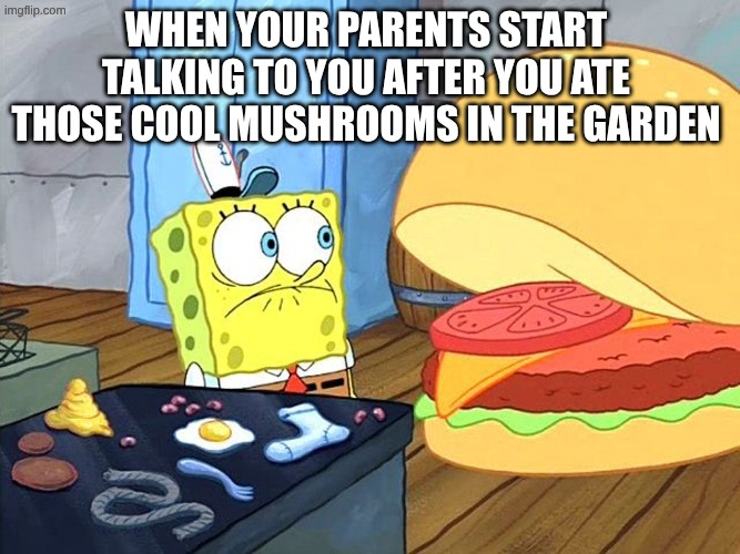 real | when your parents start talking to you after you ate those cool mushrooms in the garden | image tagged in sponge bob talking to krabby patty,krabby patty,mushrooms,spongebob | made w/ Imgflip meme maker