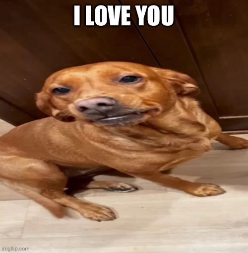 I changed my name, I’m not sigma rizzler 3 anymore. ??? | I love you | image tagged in img_2016 jpeg | made w/ Imgflip meme maker