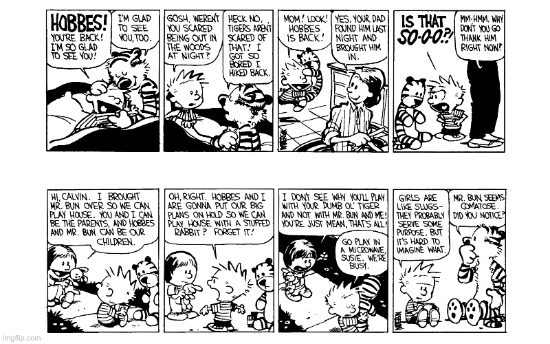 image tagged in calvin and hobbes,comics | made w/ Imgflip meme maker