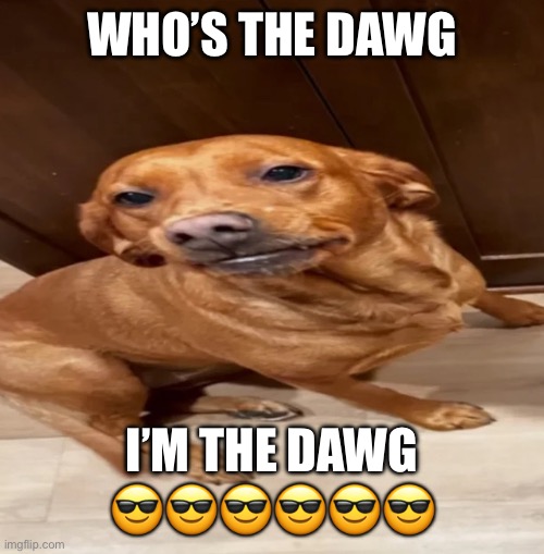 Me so tuff | Who’s the dawg; I’m the dawg 😎😎😎😎😎😎 | image tagged in img_2016 jpeg | made w/ Imgflip meme maker