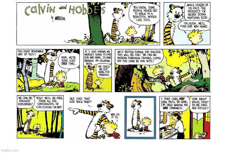 IMG_4243.jpeg | image tagged in calvin and hobbes,comics | made w/ Imgflip meme maker