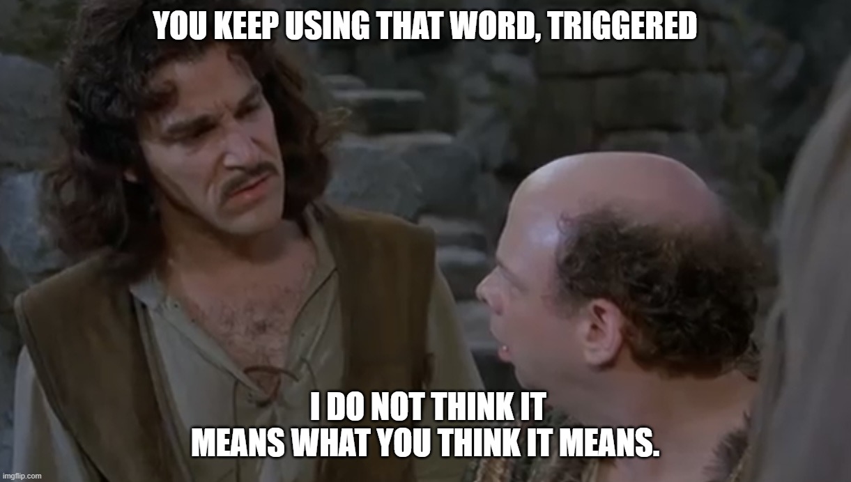 Triggered | You keep using that word, triggered; I do not think it means what you think it means. | image tagged in you keep using that word | made w/ Imgflip meme maker