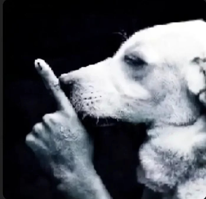 Perro en silencio Blank Meme Template