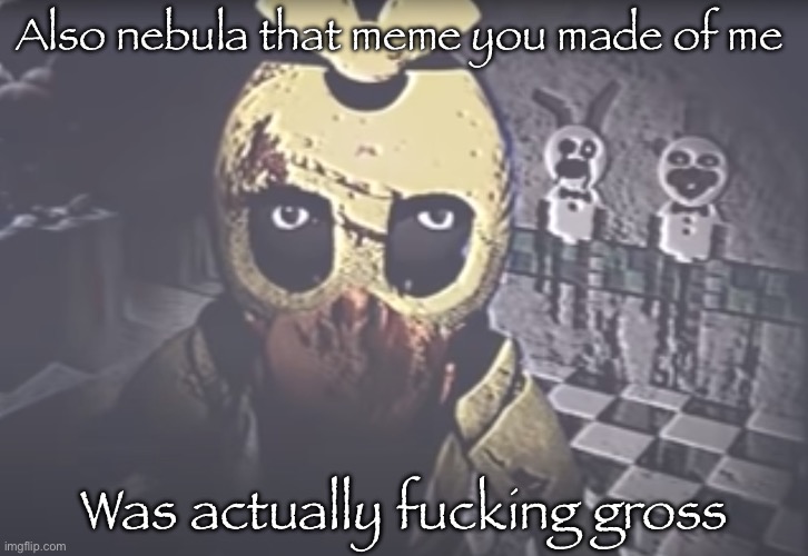 Withered Chica staring | Also nebula that meme you made of me Was actually fucking gross | image tagged in withered chica staring | made w/ Imgflip meme maker