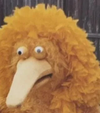 Definitely not Big Bird Blank Meme Template