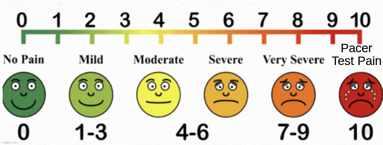 PaCeR tEsT pAiN | Pacer Test Pain | image tagged in normal pain chart,oh wow are you actually reading these tags,pain | made w/ Imgflip meme maker