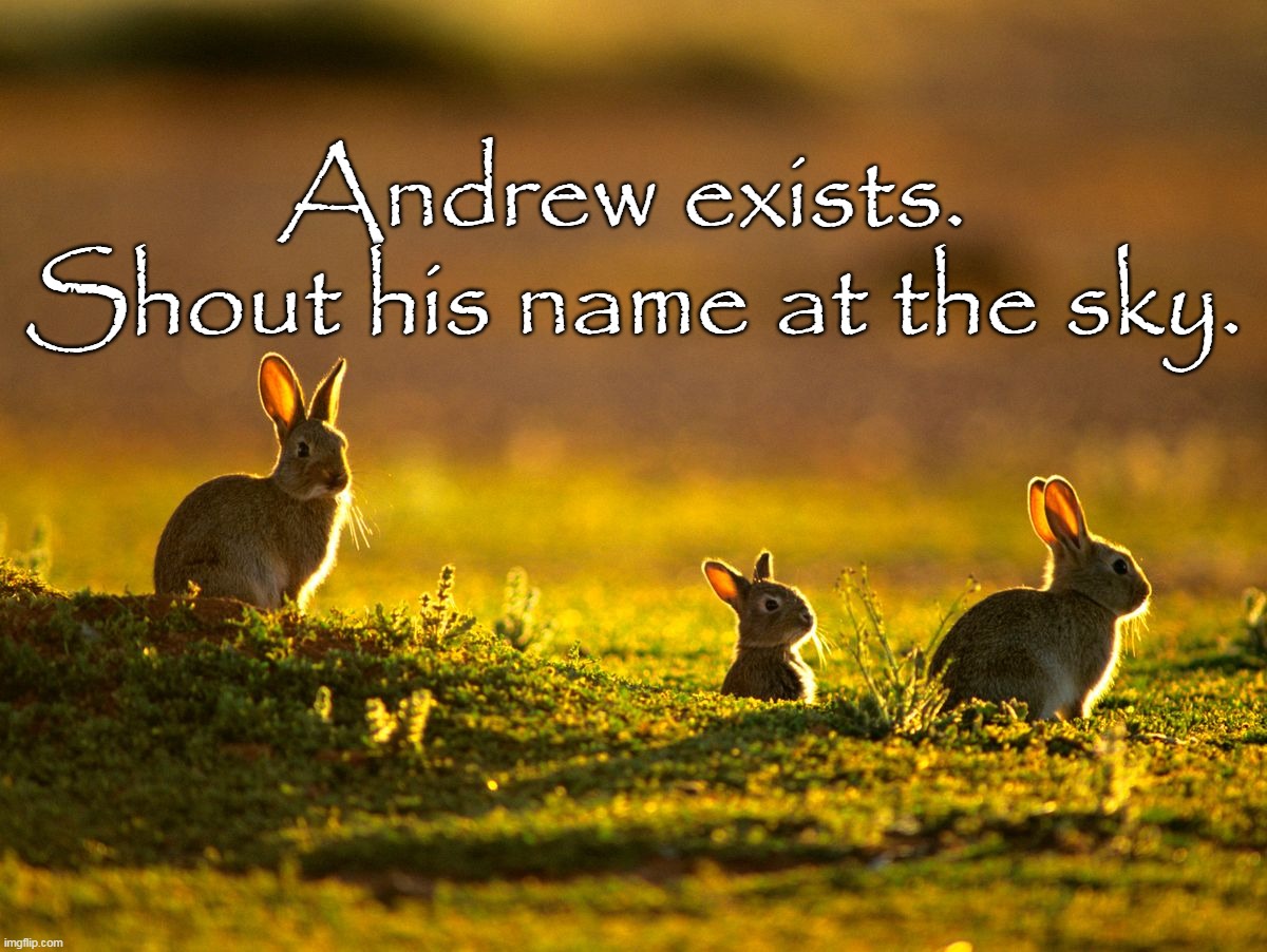 Feel better | Andrew exists.  Shout his name at the sky. | image tagged in andrew's rabbits | made w/ Imgflip meme maker