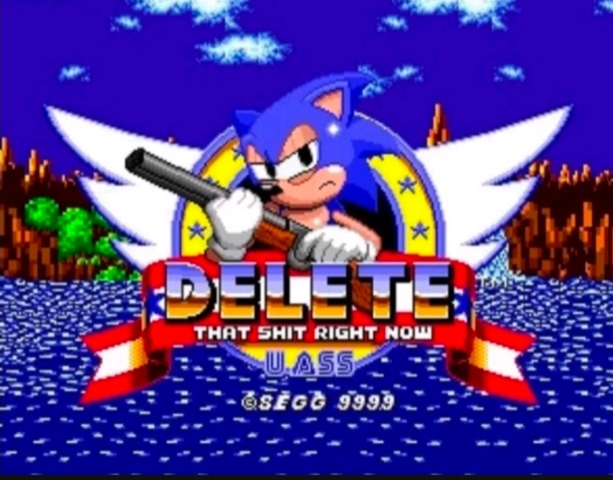 Sonic Delete Blank Meme Template